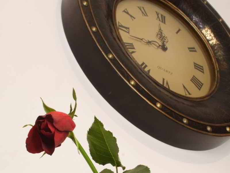 Abella & By Artery Hotel apartamentowy 3*